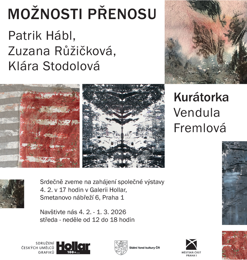 Možnosti přenosu v Galerii Hollar