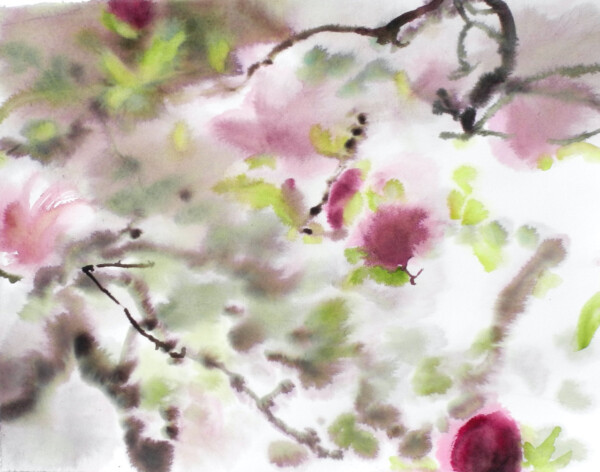 obraz magnolie
