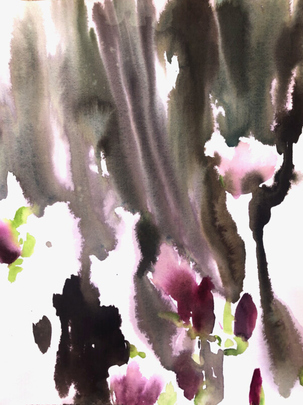 obraz magnolie
