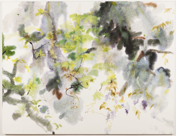 1000 x 1300 mm VISTÁRIE V DEŠTI akvarel 2025