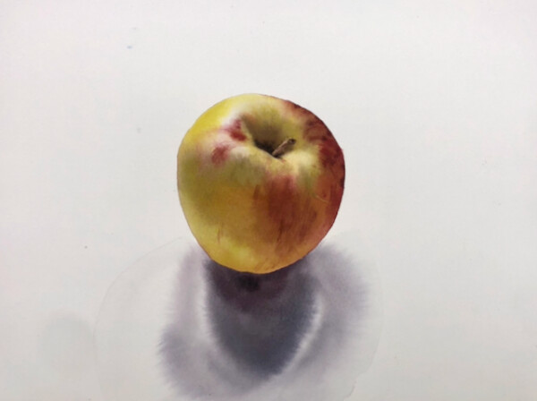 240 x 320 mm JABLKO akvarel 2023, soukr. sbírka