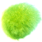 akva-zeleny